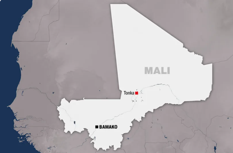 Illustration d'une zone rurale au Mali